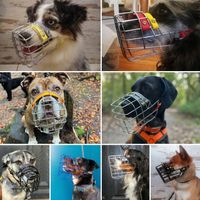 Dogwalk Gassiservice Hundeauslauf Hundesitter Berlin Prenzlauer Berg Pankow Wei&szlig;ensee